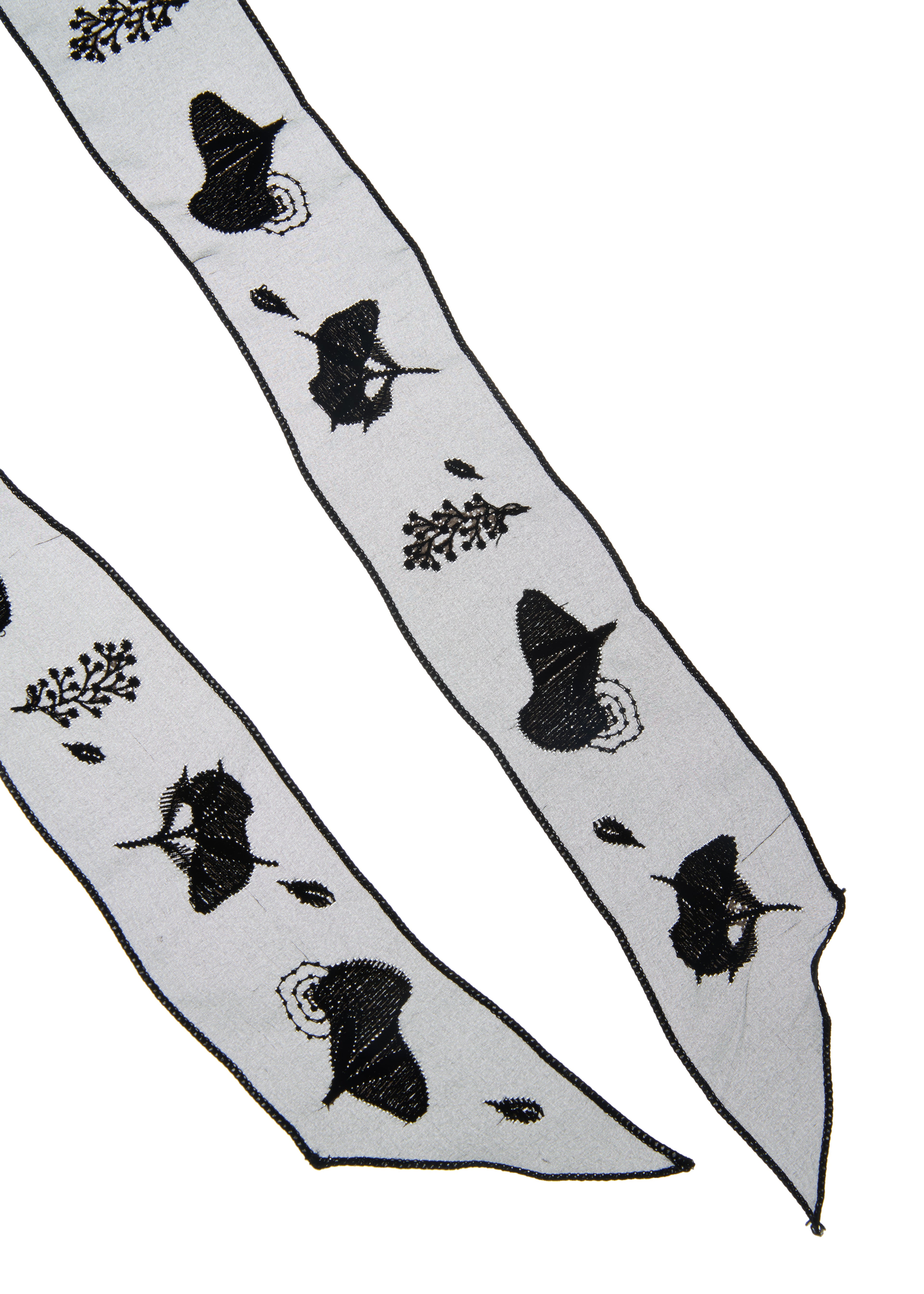 Whispers of Frida Silk Organza Embroidered Skinny Scarf - Black