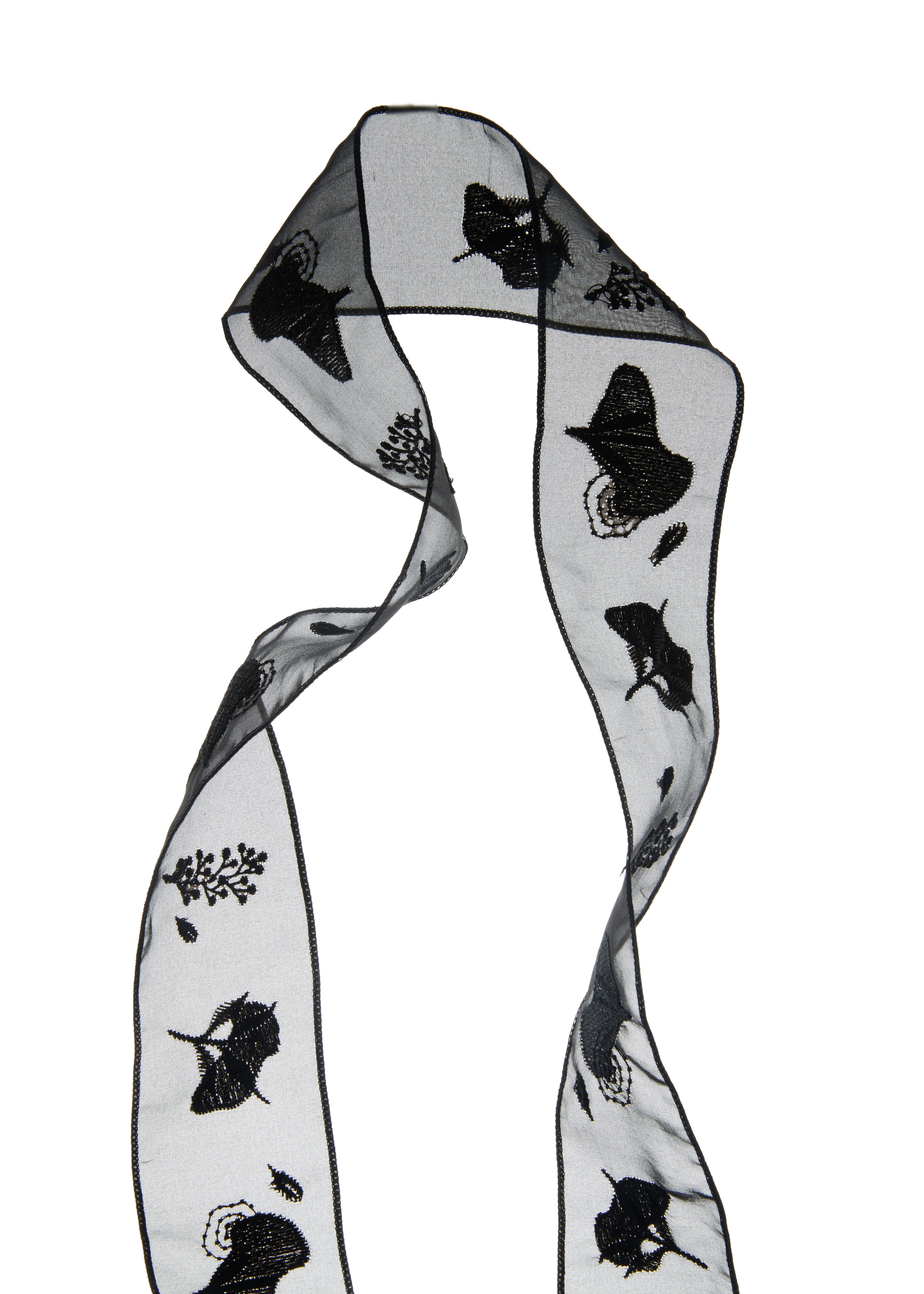 Whispers of Frida Silk Organza Embroidered Skinny Scarf - Black