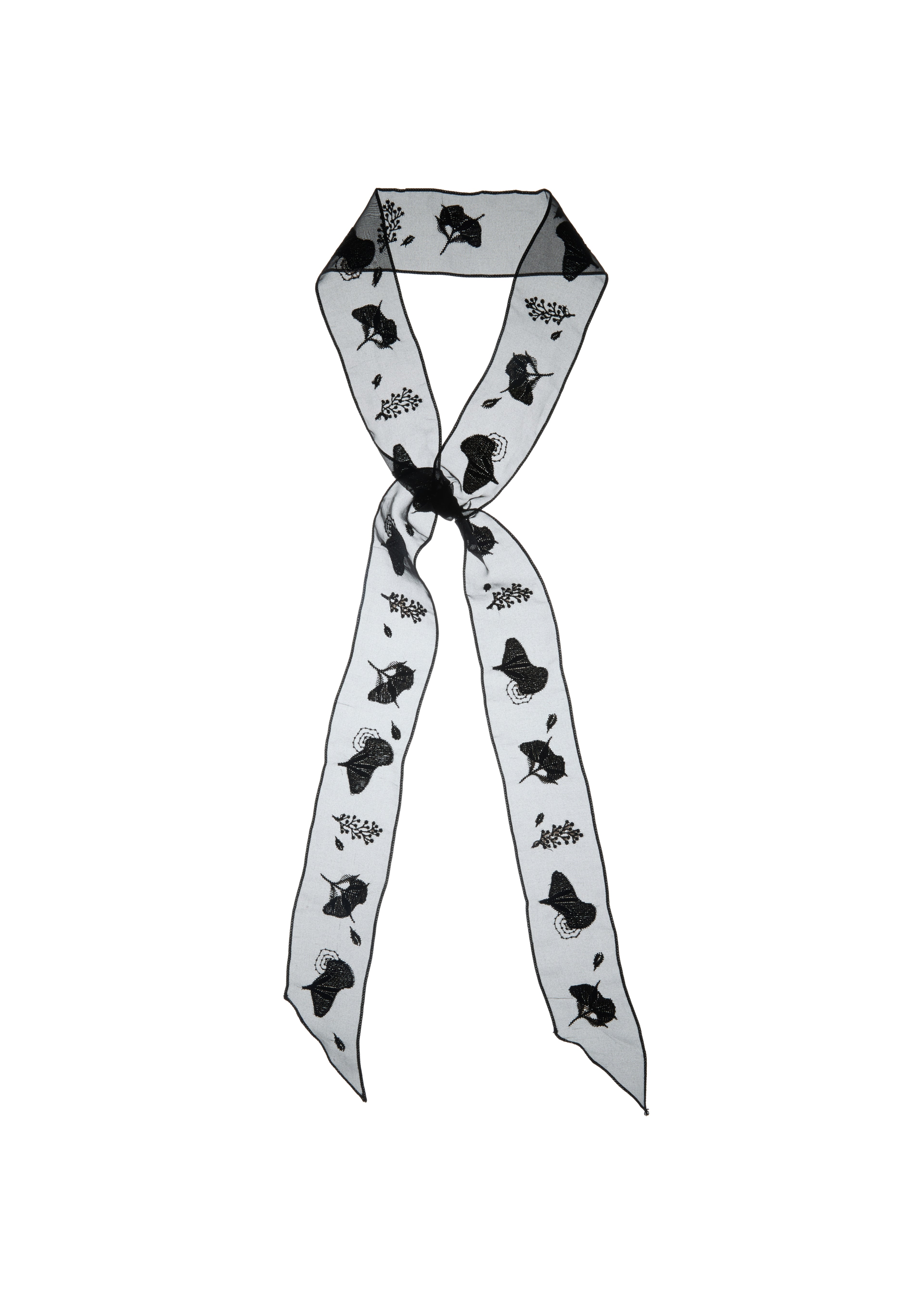 Whispers of Frida Silk Organza Embroidered Skinny Scarf - Black