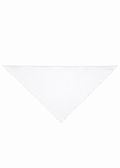 Silk Organza Triangle Scarf - White
